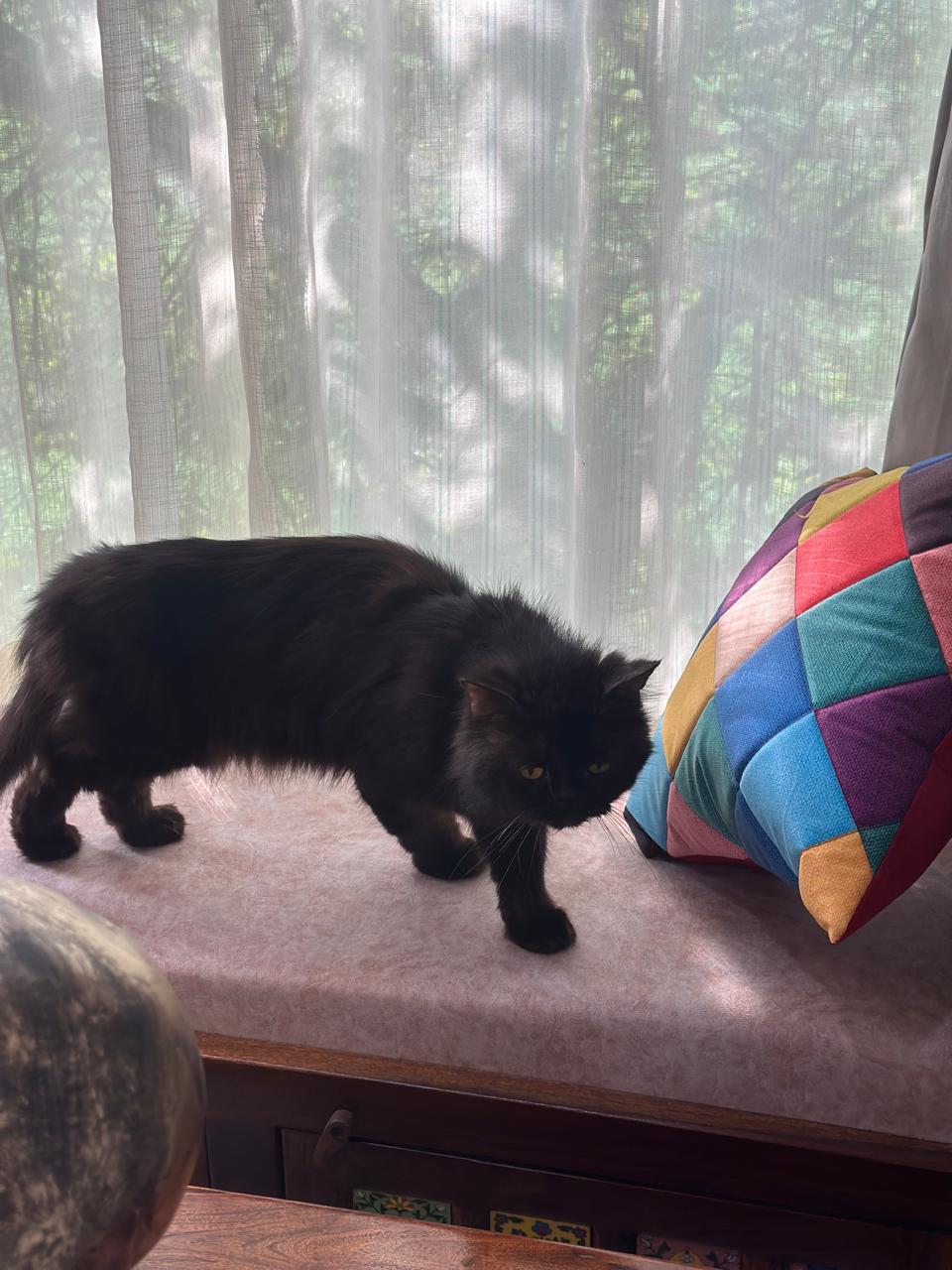 WhatsApp Image 2026-02-23 at 10.31.59 AM (1)