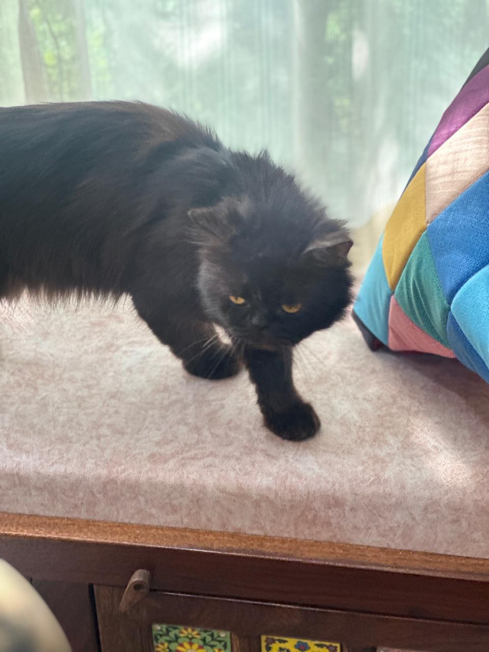 WhatsApp Image 2026-02-23 at 10.32.01 AM (1)