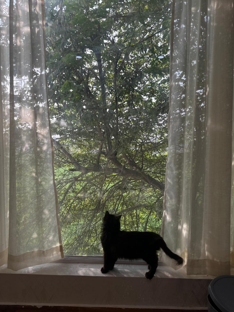 WhatsApp Image 2026-02-23 at 10.32.02 AM